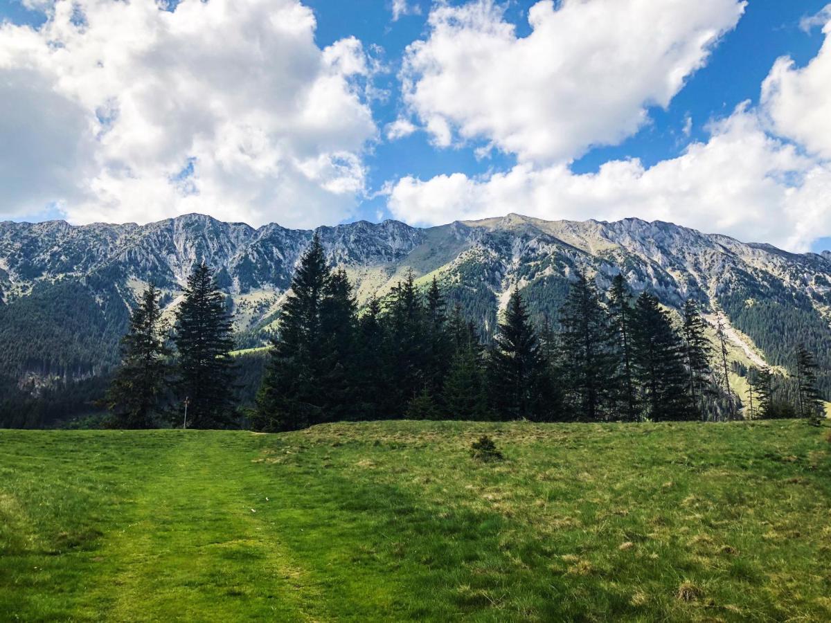 Pensiunea Aliart Zărneşti Dış mekan fotoğraf