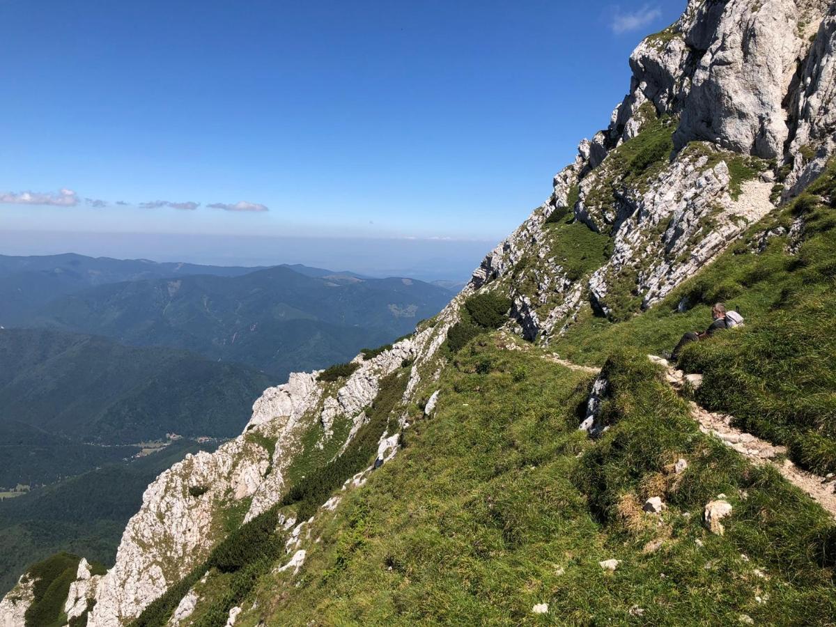 Pensiunea Aliart Zărneşti Dış mekan fotoğraf