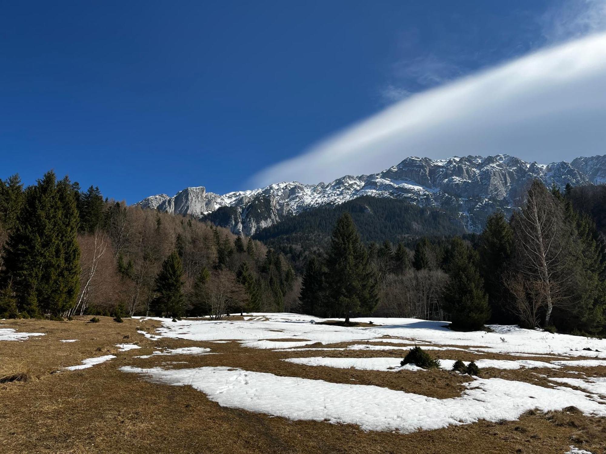Pensiunea Aliart Zărneşti Dış mekan fotoğraf